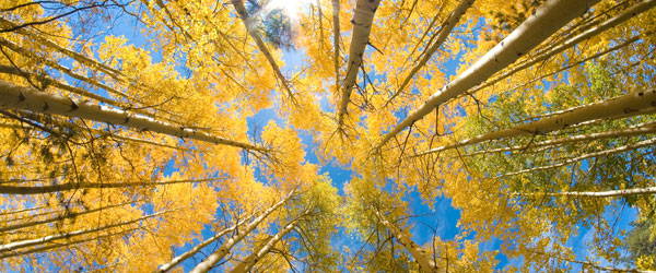 our-beliefs-internal-banner